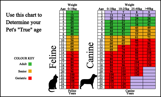 Brownsboro Animal Clinic - Surveillance Screening